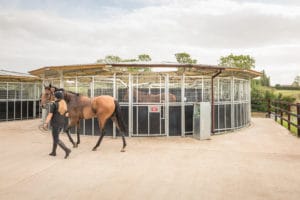 Sovereign Plus Horse Walker with Polycarbonate Roof