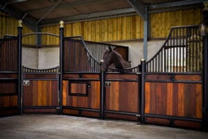 Monarch Equestrian Majestic Victorian Stables with Hardwood and Black Powder Coating at Manor Farm