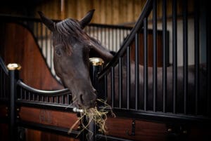 Monarch Equestrian Majestic Victorian Stables with Hardwood and Black Powder Coating at Manor Farm